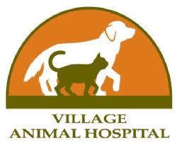 마을 동물 병원